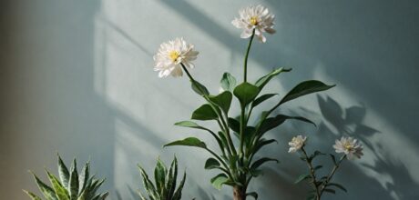 Mindfulness nos hobbies: Como desfrutar de suas atividades favoritas com mais presença