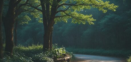 Mindfulness para reduzir o julgamento: Como aceitar a si mesmo e aos outros