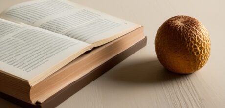Como mindfulness pode aliviar dores físicas crônicas