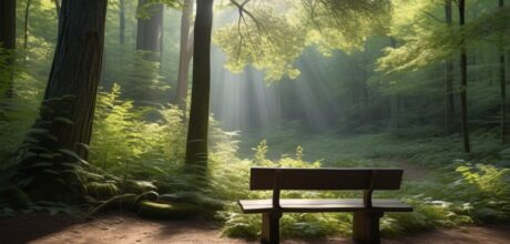 Mindfulness para Cuidadores de Pacientes: Um Guia Prático